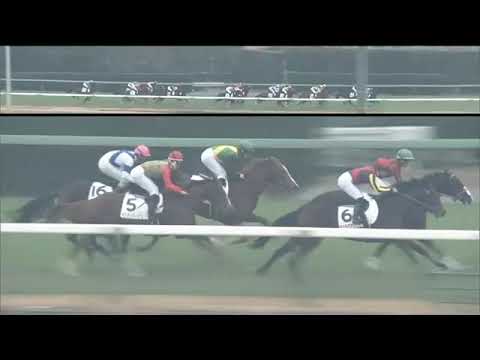 2019.12.22 2yo Newcomer (JPN) - Ghiberti