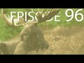 Episode 96 - Vertebrata V - Mammals
