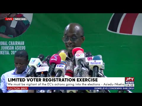 Voter Registration: We must be vigilant of the EC's actions going into the elections - Asiedu Nketia
