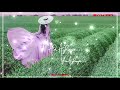 Iravula Polambunen Nee Enna Vittu Pona Sari Illadi WhatsApp Status Lyrics Video