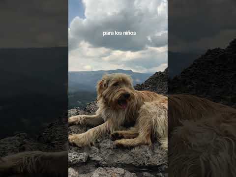 📍FARALLONES DE SUTATAUSA  #viajes #bogotá#turismo #shorts #cundinamarca  #sutatausa