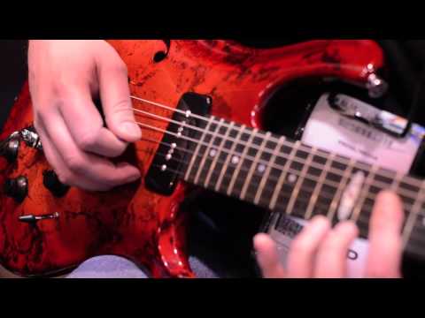 Flaxwood Guitars NAMM 2011