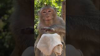 Download lagu Mau ketawa takut dosa video lucu bikin ngakak 🤣 funny comedy video mp3 Download lagu Mau ketawa takut dosa video lucu bikin ngakak 🤣 funny comedy video mp3