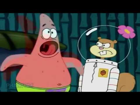 SUNDJER BOB PEVA - GASTOZZ STYLE