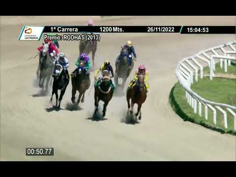 221126 c01 - NEW JUBILATION (BRZ) - HIPODROMO LAS PIEDRAS