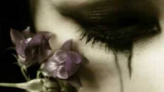 ΚΑΛΩΣ ΗΡΘΕΣ ΠΑΡΑΞΕΝΕ ΣΤΟΝ  ΤΟΠΟ ΜΟΥ   ACTIVE MEMBER