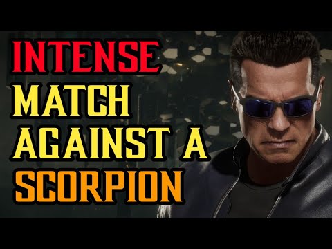 Intense Match Against a Scorpion | Terminator High Level KL Ranked Gameplay | Mortal Kombat 11