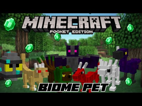 THE KRUZZ -  Pet Biome Minecraft Pe Addon 1.18 ||  Minecraft Pe Mod And Addon ||  New mobs can become Pets