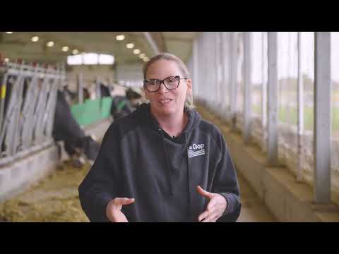 La traite robotisée à la Ferme Greuter et l'expertise de Covris Coopérative