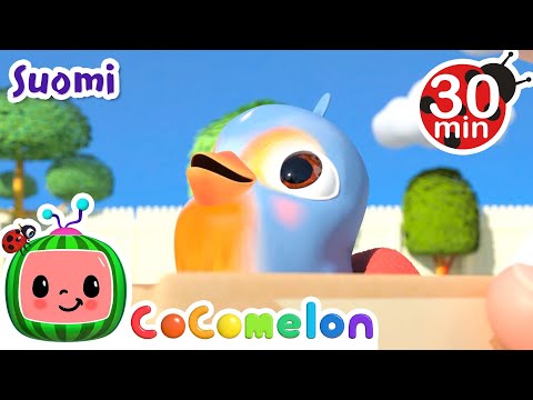 🐣 Pikku, pikku lintunen | CoComelon Finnish Songs | Lastenlauluja ja loruja