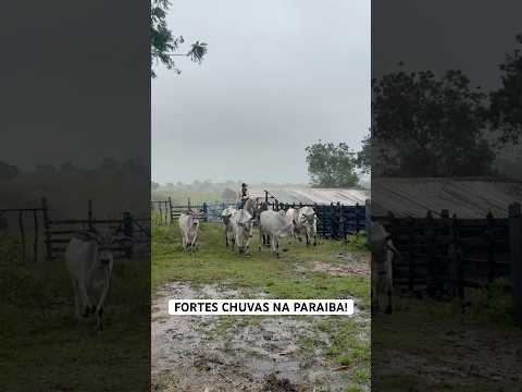 GORTES CHUVAS NA PARAIBA!
