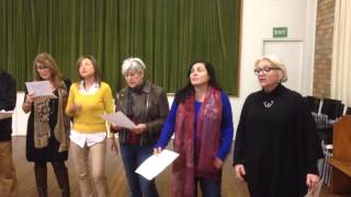 &quot;Why Walk When You Can Fly&quot;