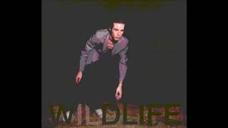 The Icarus Line - Wildlife