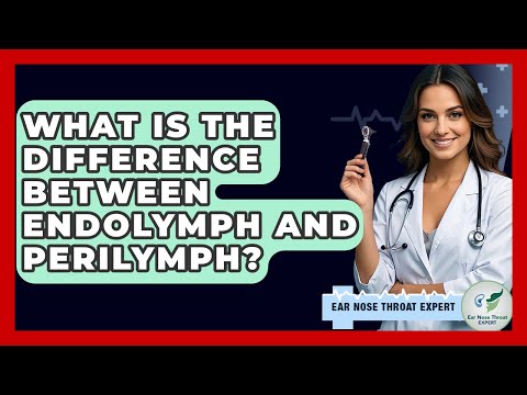 What Is The Difference Between Endolymph And Perilymph? - Ear Nose Throat Expert