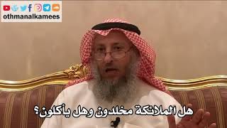 254_هل الملائكة مخلدون وهل يأكلون؟ شرح الأصول الثلاثة - الشيخ الدكتور عثمان الخميس
