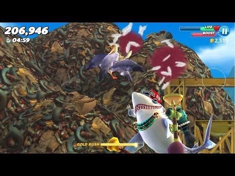 S Sharks Live Contest (Most Gold Earn in Pacific Island) - Hungry Shark World