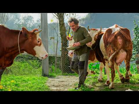 Life in the Happy Village – The Miracle of the Barley Harvest | Documentary Film