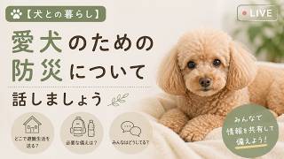【犬との暮らし】愛犬のための防災について話しましょう