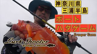 Lurk Shooter ｜PALMS ｜ 株式会社パームス