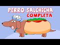 Canción Completa Viral De TikTok Perro Salchicha Gordo Bachicha Animación
