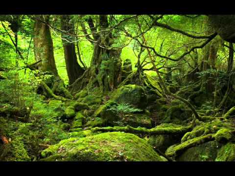 Dj Iridium - Atmosfera