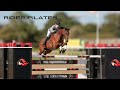Pilates For Riders Strength And Suppleness For Equestrians Home Workout