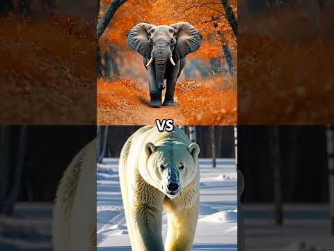 elephant vs rhinoceros vs hippo vs cheetah vs polar bear vs woolly mammoth(wild animal battle)