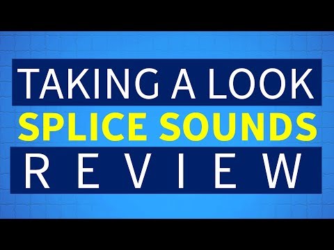 Taking a Look at Splice Sounds | REVIEW