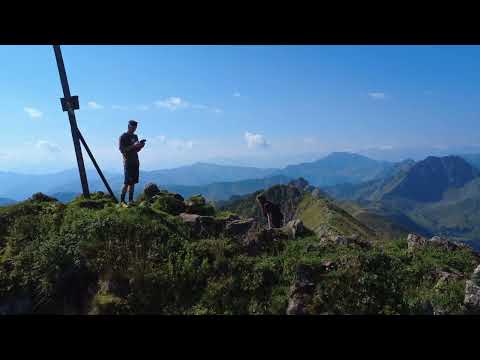 DJI Mini 4K - Wildseeloder