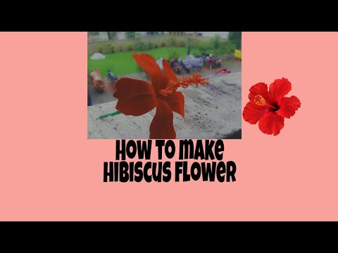 How to make Hibiscus flower | DIY Hibiscus flower | Charul Gaikwad