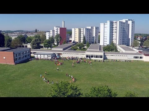 Bewegungstag der VS Haid - Move Your Heart