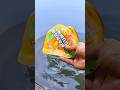 Sharing MANGO GUMMY Snacks With The Ants Short Video Snailhunter