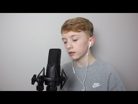 I Dont Wanna Live Forever - Taylor Swift & ZAYN (Cover)