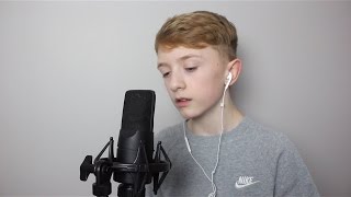 I Dont Wanna Live Forever - Taylor Swift & ZAYN (Cover)