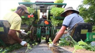 Cool Jobs: Organic Farming at Earth Spring Farm in Carlisle, Pa