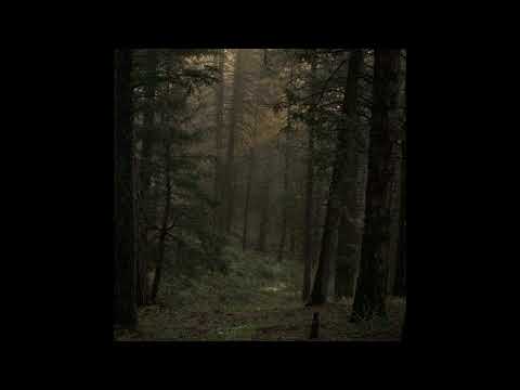 [FREE] BONES x GRAYERA TYPE BEAT - ''BRANCHES 2''