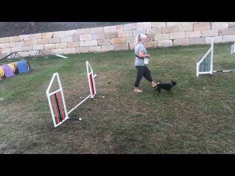 Shaping a clean jump