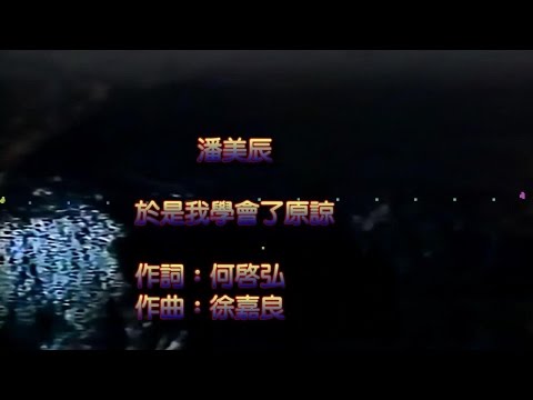 潘美辰 於是我學會了原諒