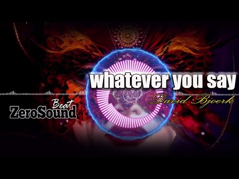 Whatever You Say - David Bjoerk