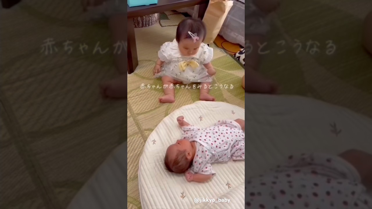 赤ちゃんと赤ちゃんの戯れが可愛すぎる #baby #赤ちゃんのいる生活 #実況ベイビー