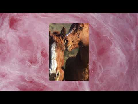 Arizona (con Natos & Waor)