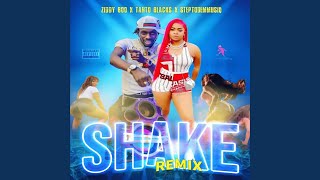 Download lagu Shake Remix mp3
