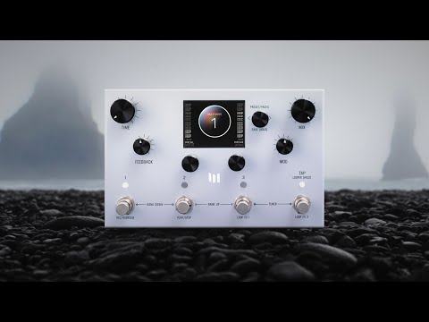 Meris LVX Modular Delay System Pedal image 4