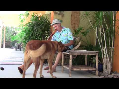 "Lost At Last" Eucalyptus Didgeridoo by Kirin Woibo