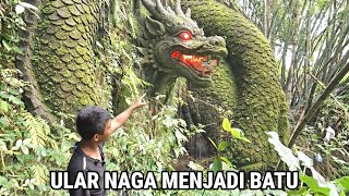 Download lagu Ngeri !! Awalnya Dikira Batu Berlumut Setelah Mendekat Ternyata Ular Naga Bertapa Menjadi Batu mp3
