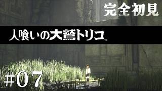 【初見プレイ】目が覚めたら大きなワシがいた Part.7【人喰いの大鷲トリコ/ネタバレ注意】