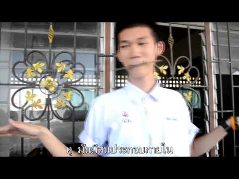 คลิกเพื่อดูคลิปวิดีโอ