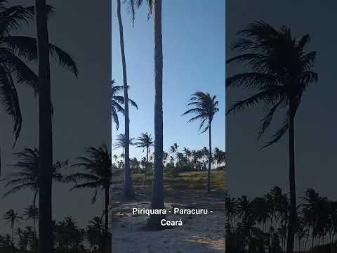 Piriquara - Paracuru -  Ceará