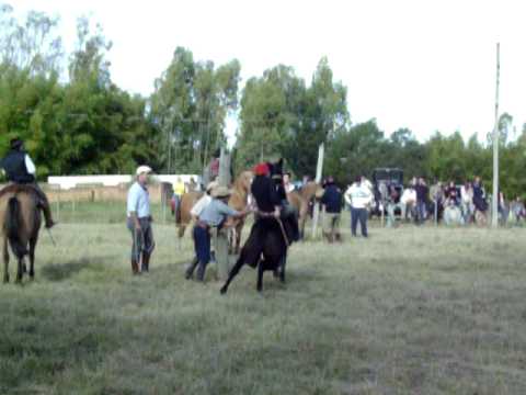 ginetiada do silvio em bage