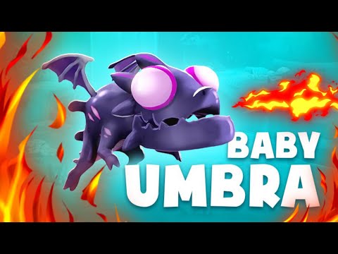 NEW BABY DRAGON! BABY UMBRA COMING SOON - Hungry Dragon